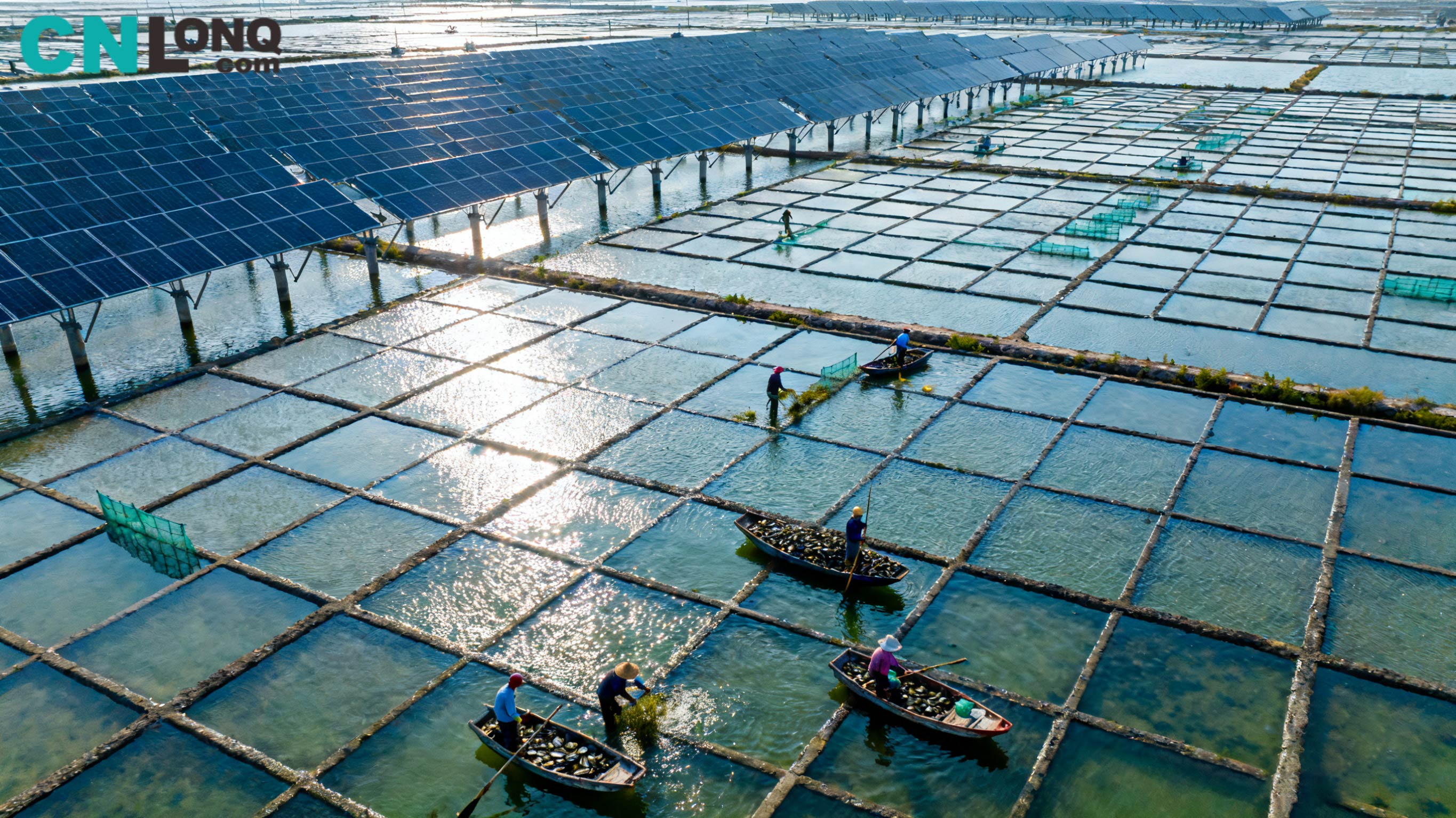 Całkowita wartość inwestycji 1,2 miliarda RMB! Projekt „Uzupełniający rybołówstwo i energia słoneczna” na polu solnym Xindao Qingkou o mocy 250 MW rozpoczyna rozwój